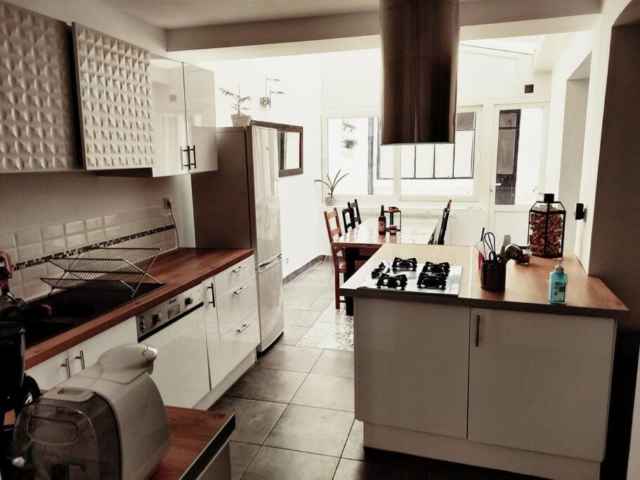 Superbe Maison Renovee Avec Agreable Jardin Sainte-Catherine  Dış mekan fotoğraf